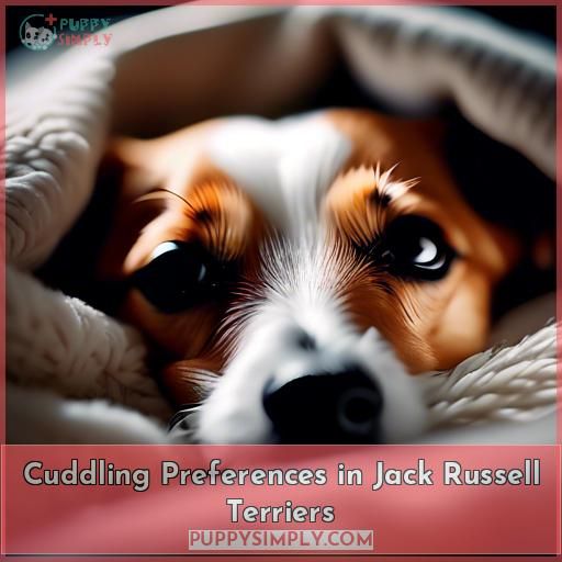 Cuddling Preferences in Jack Russell Terriers