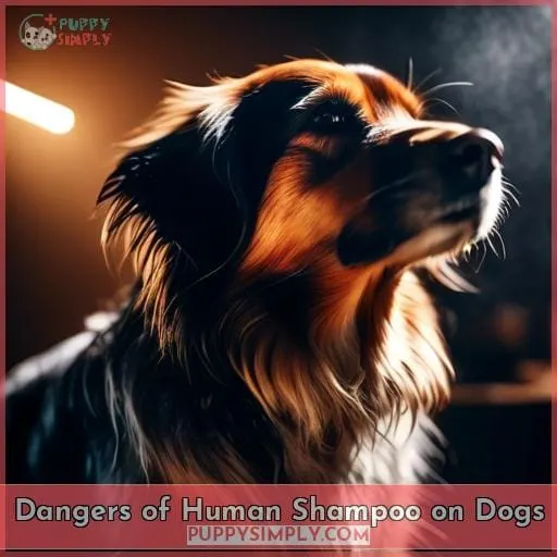 Dangers of Human Shampoo on Dogs