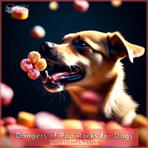 Dangers of Pop Rocks for Dogs