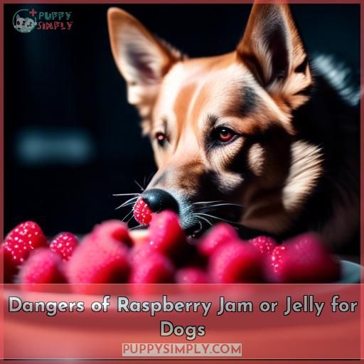 Dangers of Raspberry Jam or Jelly for Dogs