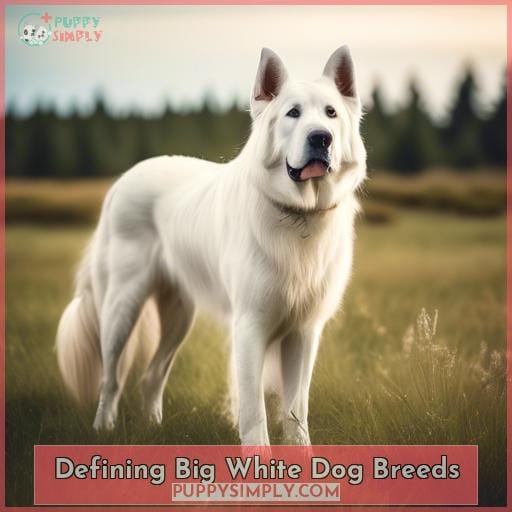 Defining Big White Dog Breeds
