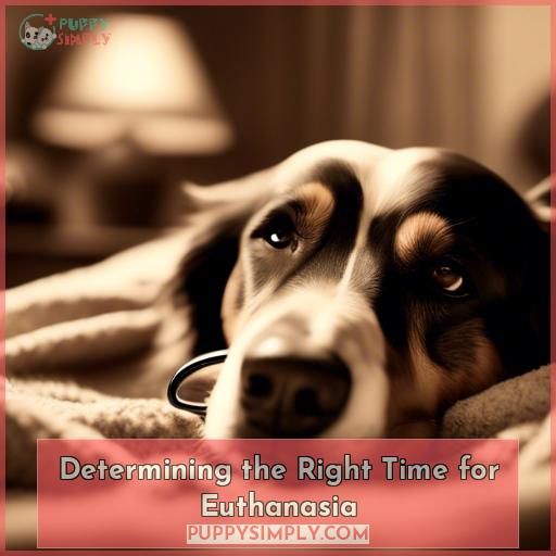 Determining the Right Time for Euthanasia
