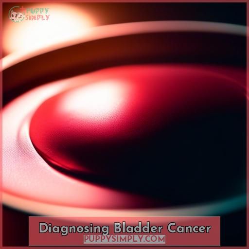 Diagnosing Bladder Cancer
