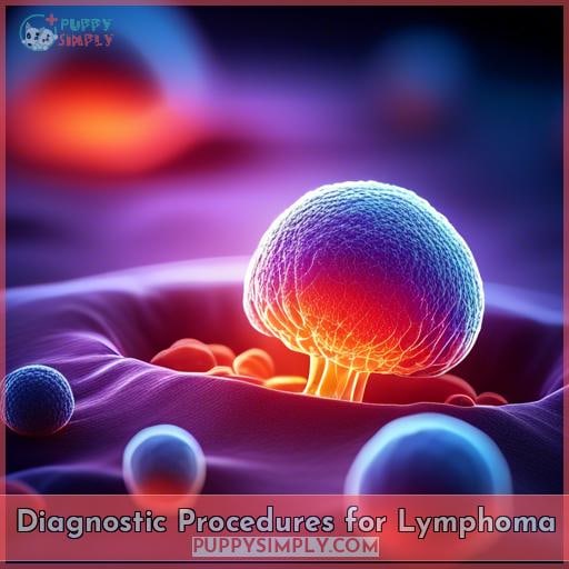 Diagnostic Procedures for Lymphoma