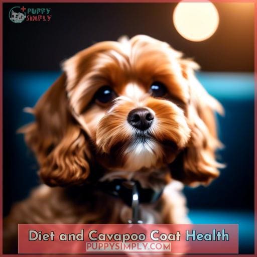 Diet and Cavapoo Coat Health