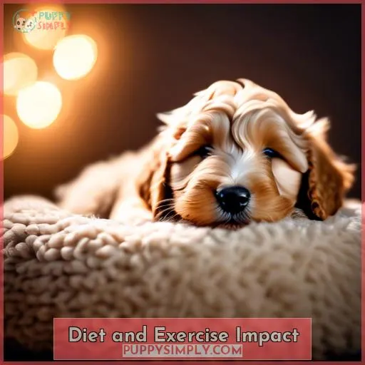 Diet and Exercise Impact