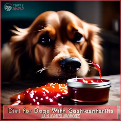 Diet for Dogs With Gastroenteritis