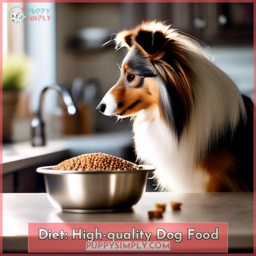 Diet: High-quality Dog Food