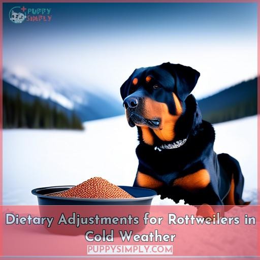 Dietary Adjustments for Rottweilers in Cold Weather