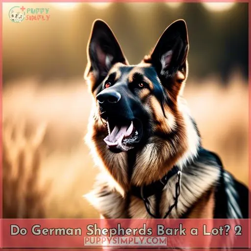 Do German Shepherds Bark a Lot 2