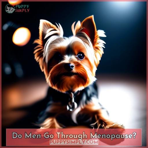 Do Men Go Through Menopause