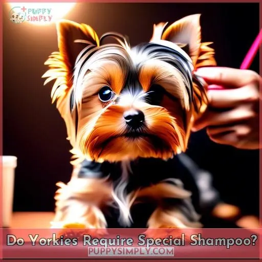 Do Yorkies Require Special Shampoo