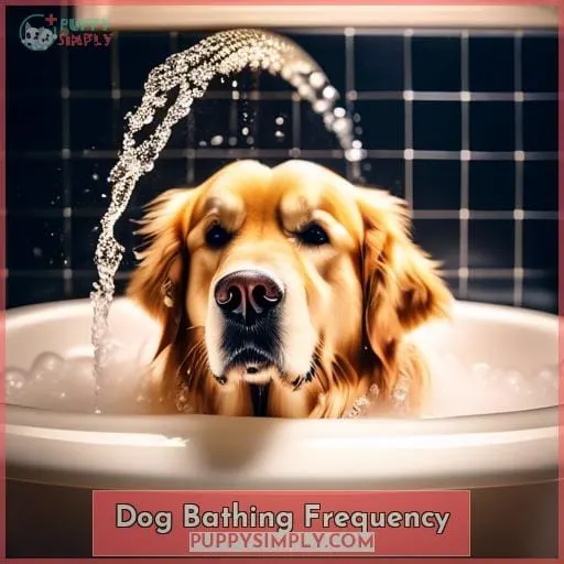 Dog Bathing Frequency