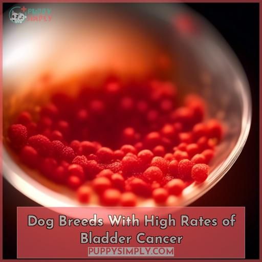 Dog Breeds With High Rates of Bladder Cancer