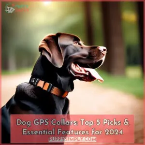 dog gps collars
