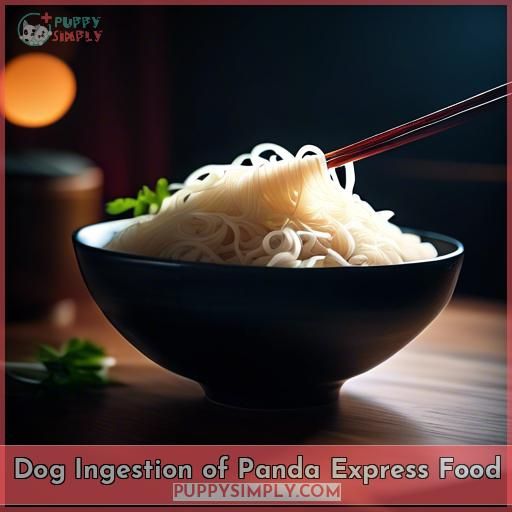 Dog Ingestion of Panda Express Food