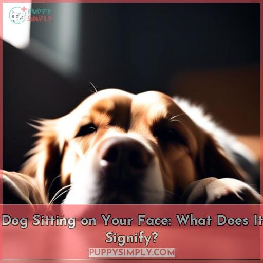Dog Sitting on Your Face: What Does It Signify