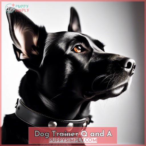 Dog Trainer Q and A