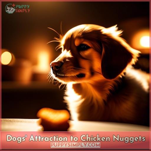 Dogs' Attraction to Chicken Nuggets