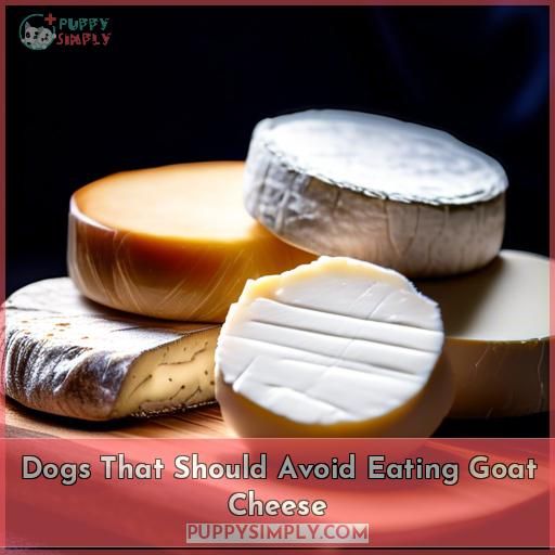 Dogs That Should Avoid Eating Goat Cheese