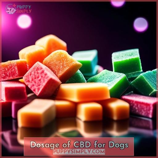 Dosage of CBD for Dogs