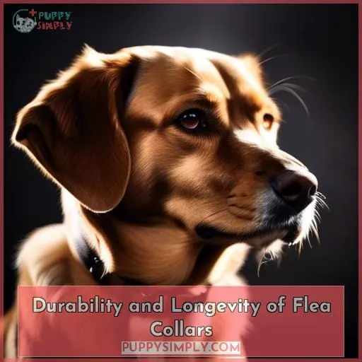 Durability and Longevity of Flea Collars