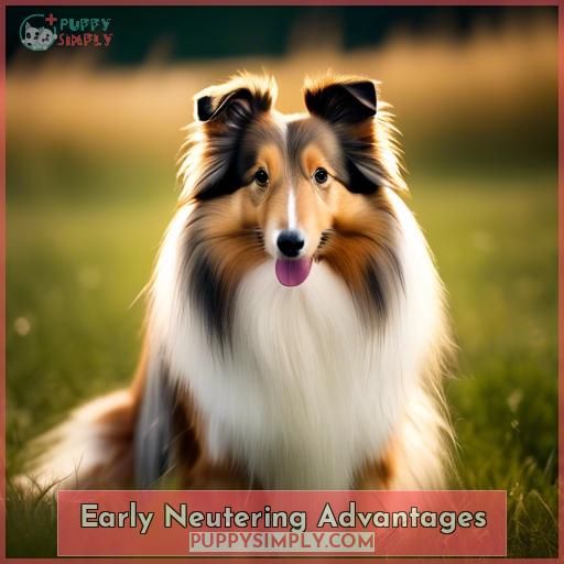 Early Neutering Advantages Early Neutering Advantages