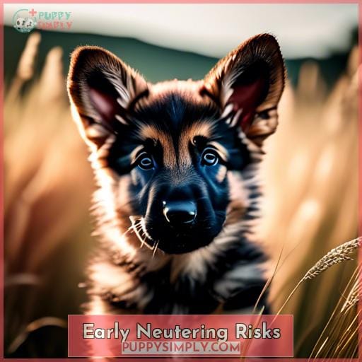 Early Neutering Risks