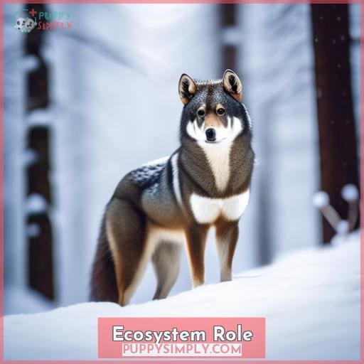 Ecosystem Role