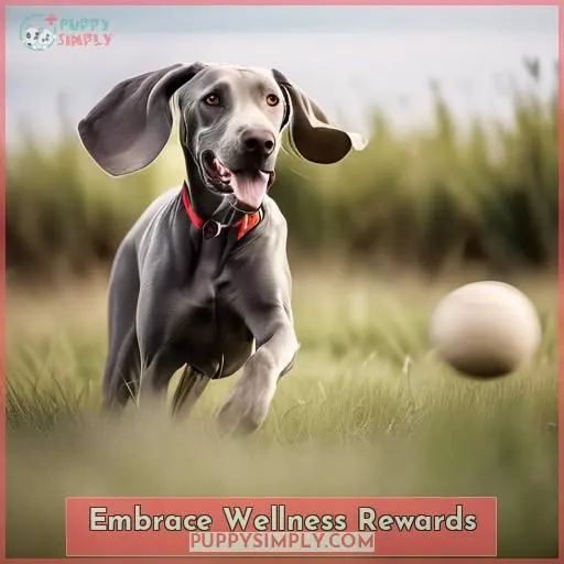 Embrace Wellness Rewards