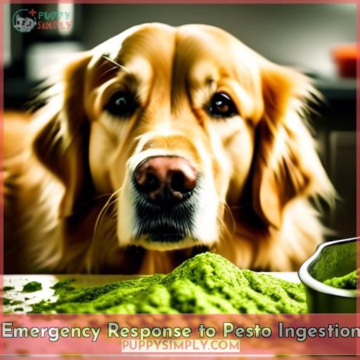 Emergency Response to Pesto Ingestion