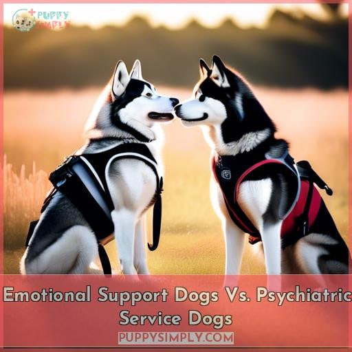 Emotional Support Dogs Vs. Psychiatric Service Dogs
