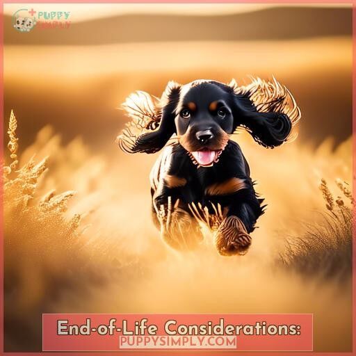 End-of-Life Considerations: End-of-Life Considerations: