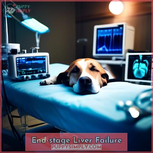 End-stage Liver Failure