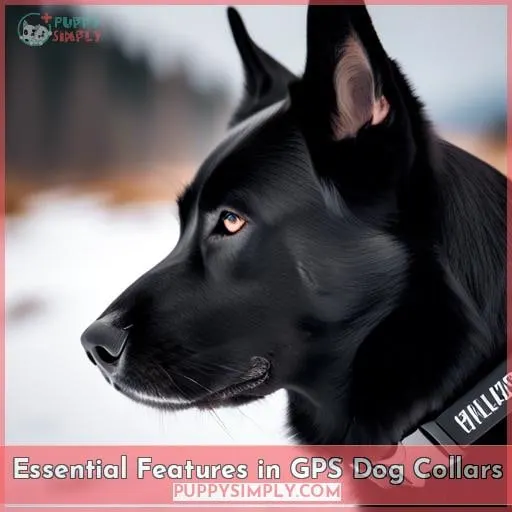 Essential Features in GPS Dog Collars