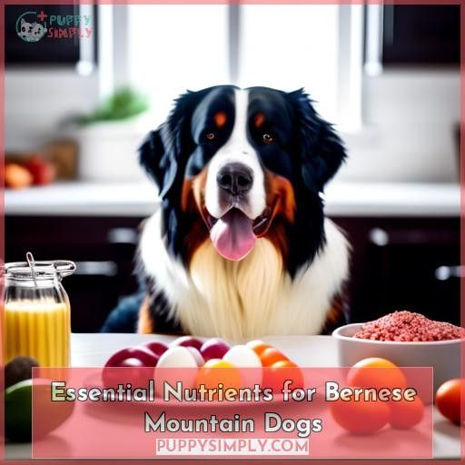 Essential Nutrients for Bernese Mountain Dogs
