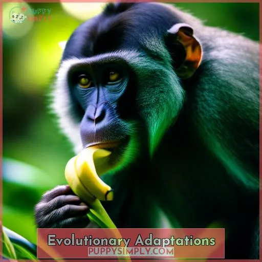 Evolutionary Adaptations