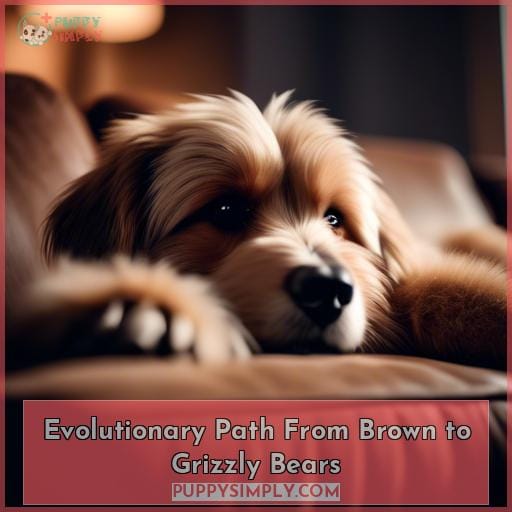 Evolutionary Path From Brown to Grizzly Bears Evolutionary Path From Brown to Grizzly Bears