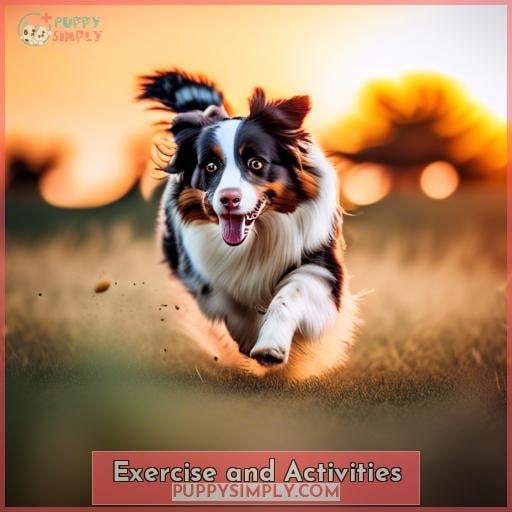 Exercise and Activities