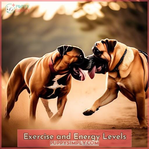 Exercise and Energy Levels