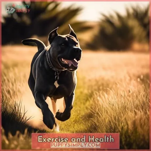 Exercise and Health