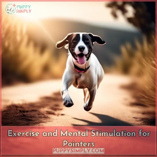 Exercise and Mental Stimulation for Pointers