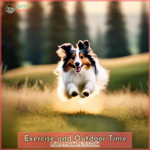 Exercise and Outdoor Time