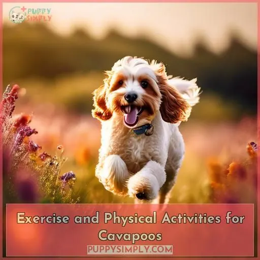 Exercise and Physical Activities for Cavapoos