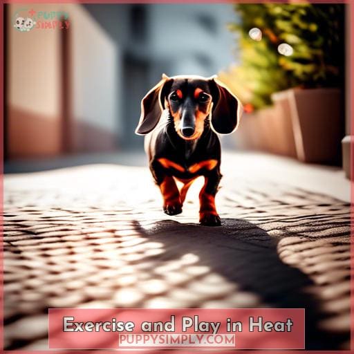 Exercise and Play in Heat