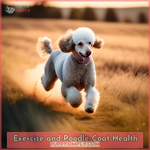Exercise and Poodle Coat Health