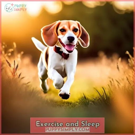 Exercise and Sleep