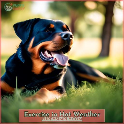 Exercise in Hot Weather