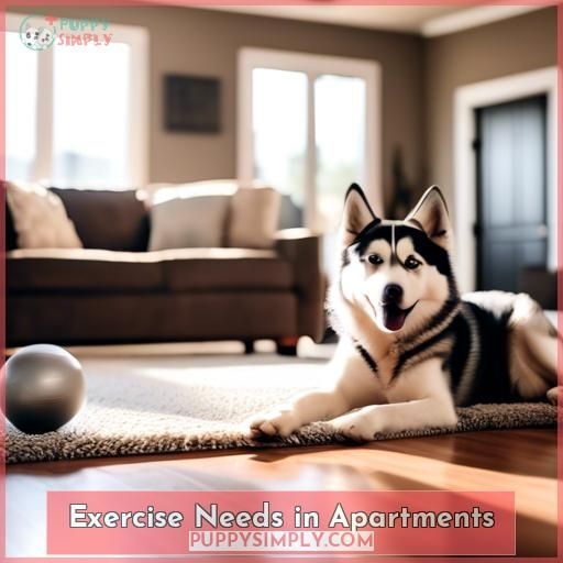 Exercise Needs in Apartments Exercise Needs in Apartments