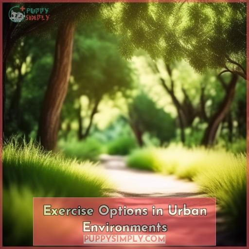 Exercise Options in Urban Environments Exercise Options in Urban Environments